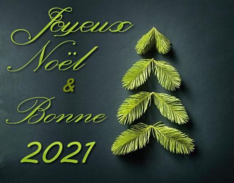 Bonnes fêtes de fin d&rsquo;année 2020